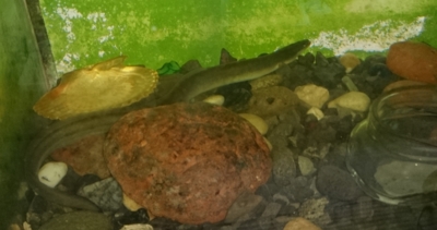 20150716071022