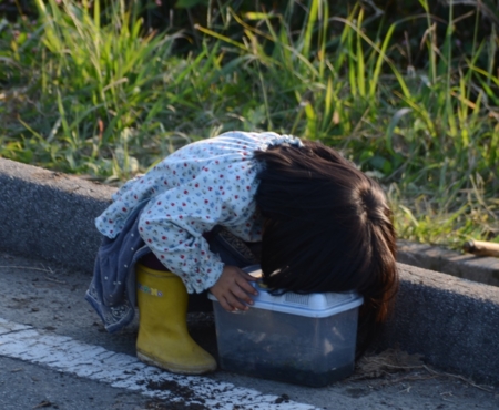 f:id:adayasu:20151024161044j:image:w260:right