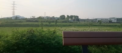f:id:adayasu:20160502171555j:image:left