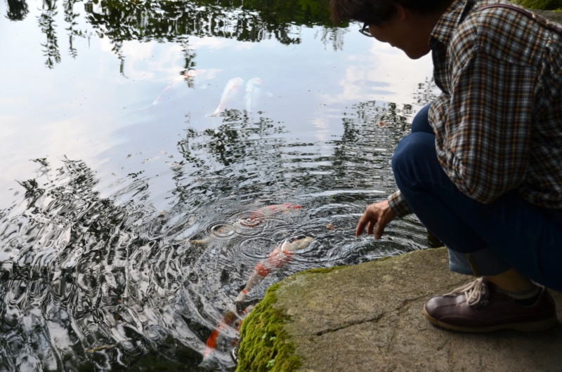 f:id:adayasu:20160723154211j:image:left