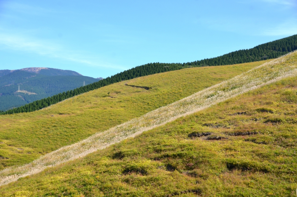 f:id:adayasu:20161112112749j:image