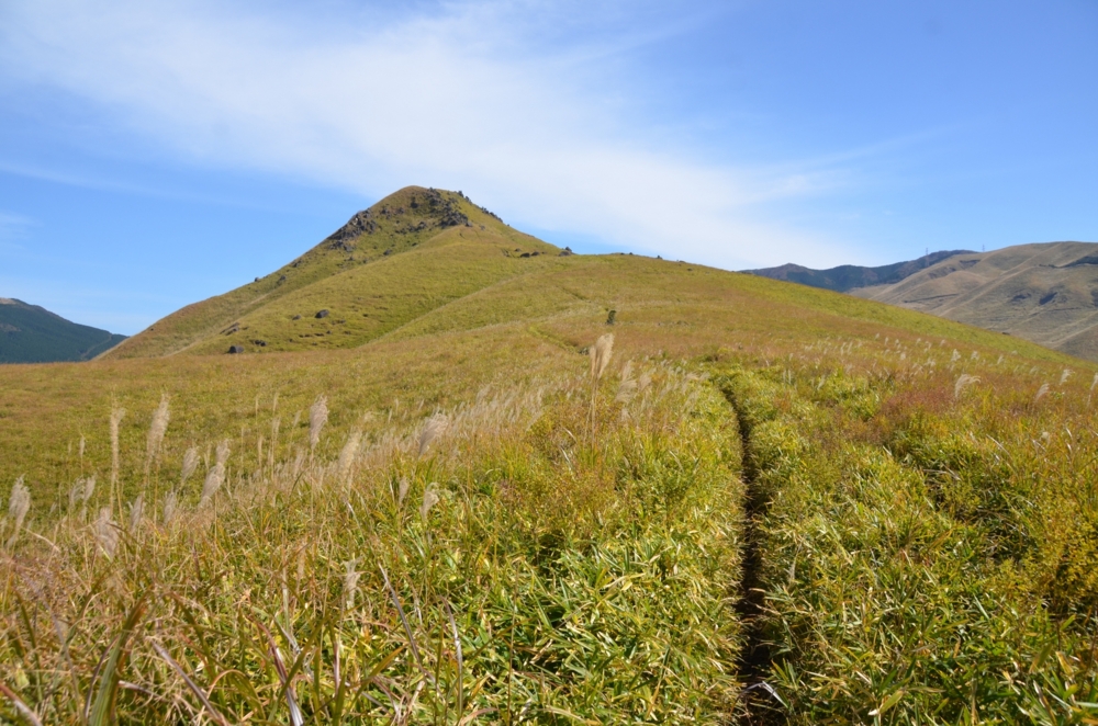 f:id:adayasu:20161112114305j:image