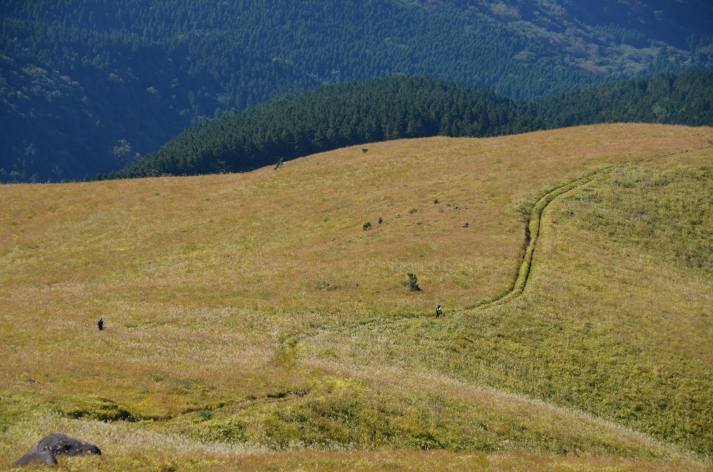 f:id:adayasu:20161112115307j:image