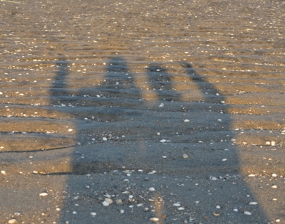 f:id:adayasu:20170103163400j:image:right