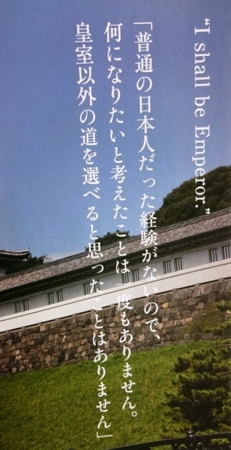 f:id:adayasu:20170311193308j:image:left