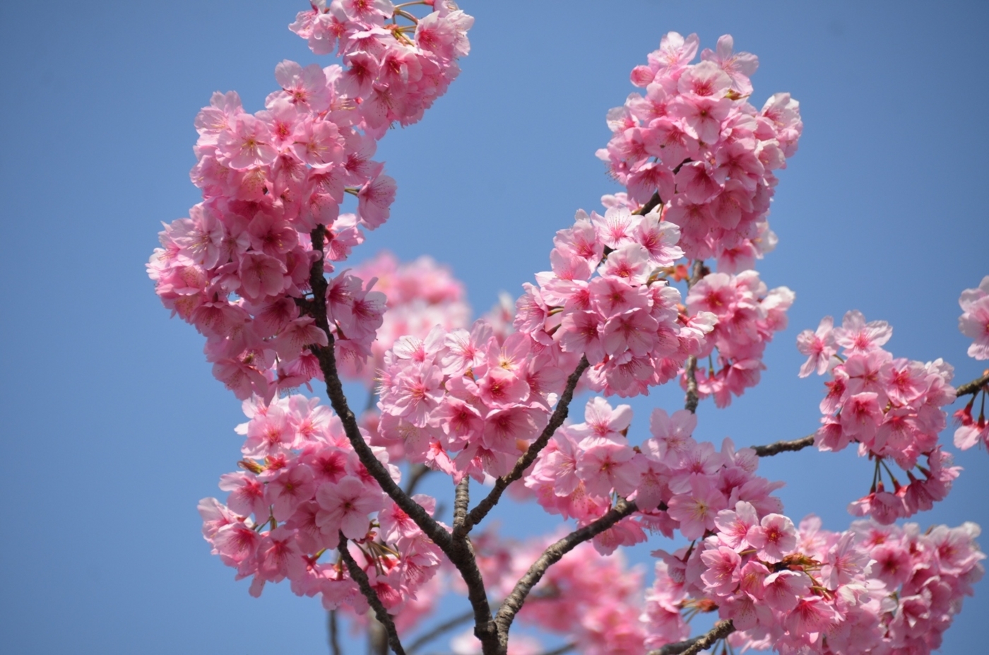 f:id:adayasu:20180327142339j:image