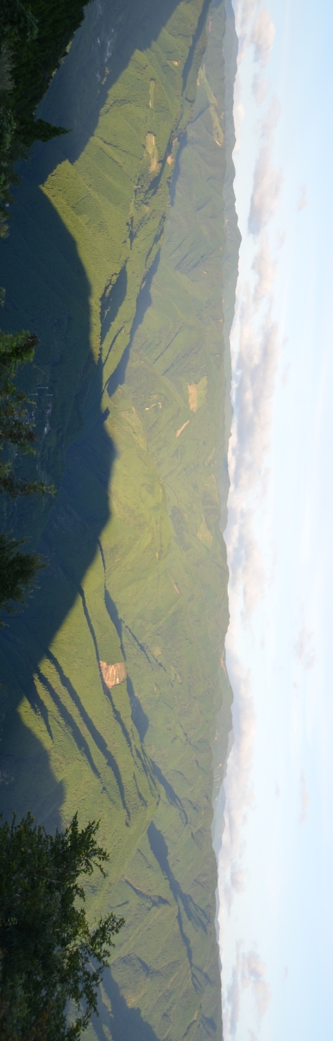 f:id:adayasu:20180812183256j:image f:id:adayasu:20180812183256j:image