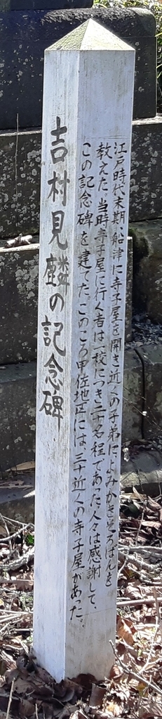 f:id:adayasu:20190212115412j:image:w150:left
