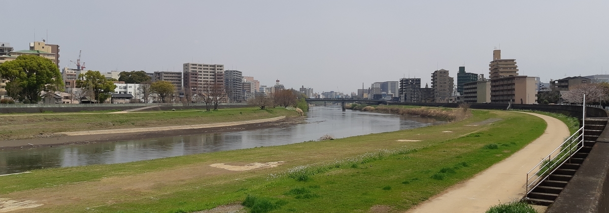 f:id:adayasu:20190329114706j:plain