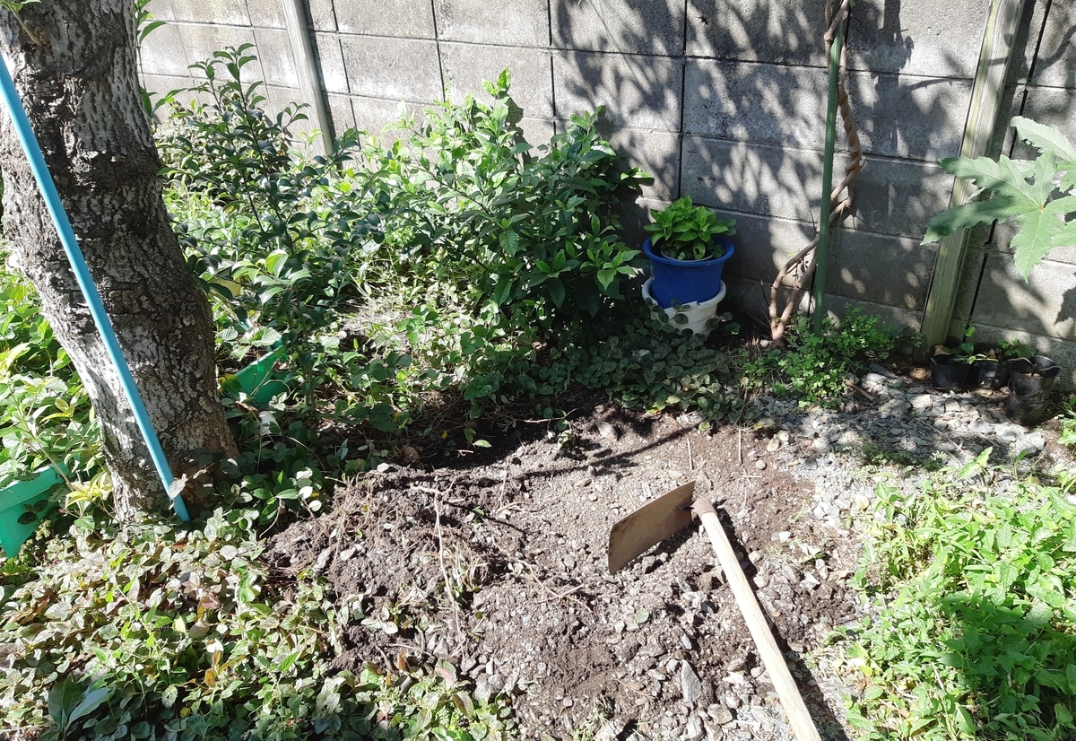 f:id:adayasu:20190908094918j:plain