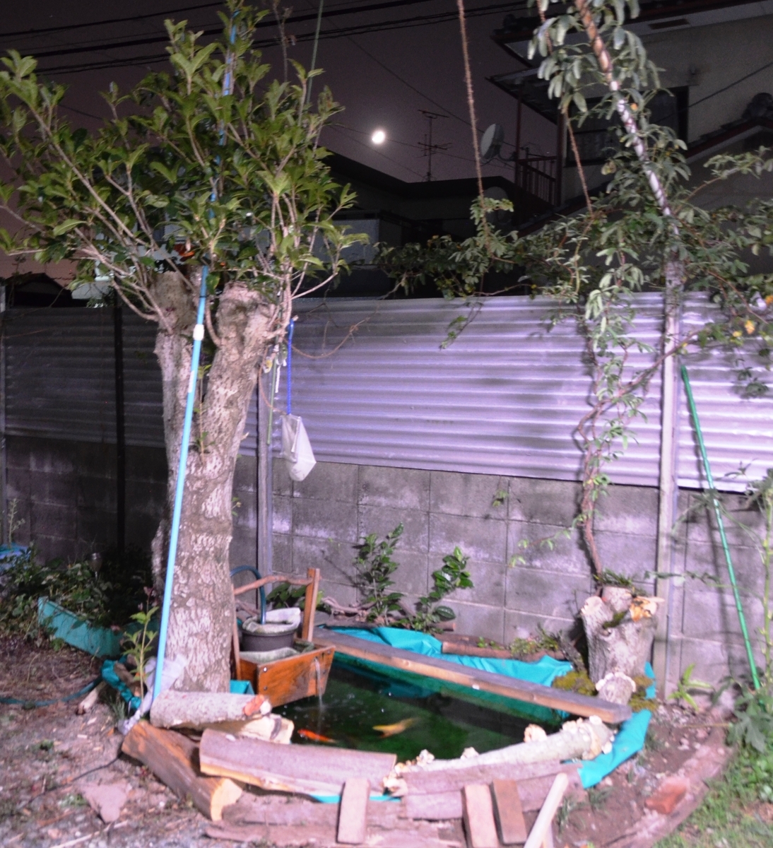 f:id:adayasu:20191004204416j:plain