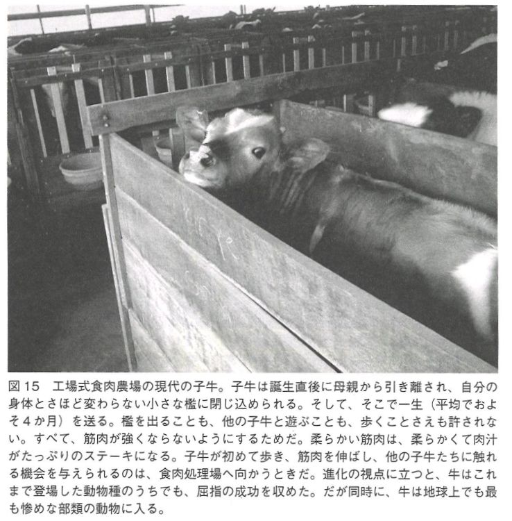 f:id:adayasu:20200210191100j:plain