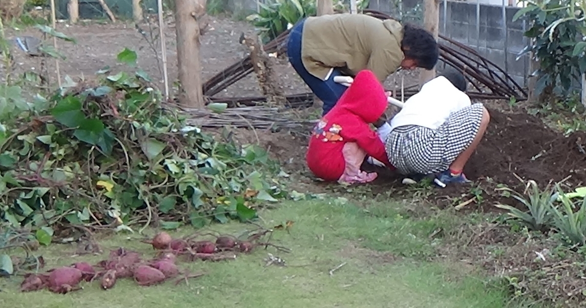 f:id:adayasu:20201024171442j:plain