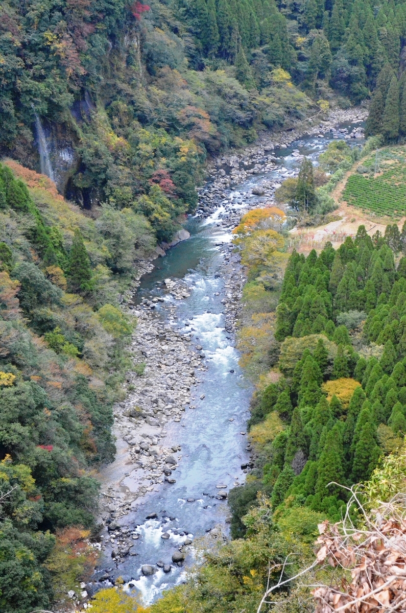 f:id:adayasu:20201106133254j:plain