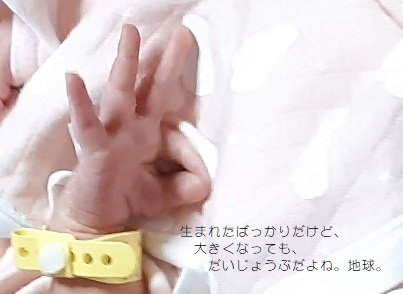 f:id:adayasu:20201108134413j:plain:right