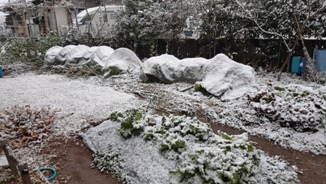 f:id:adayasu:20201230163204j:plain:right