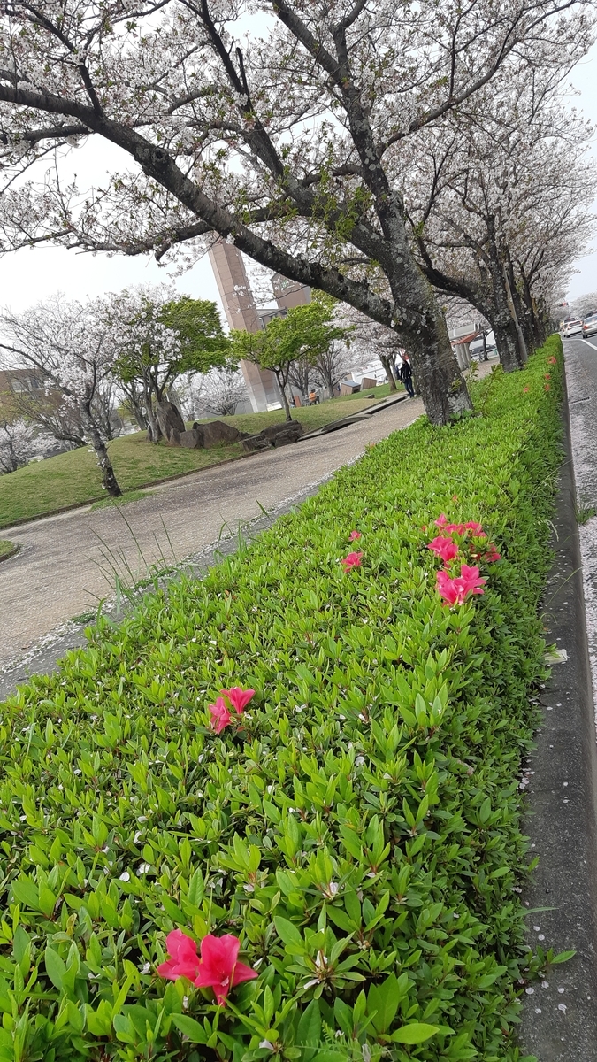 f:id:adayasu:20210329110759j:plain