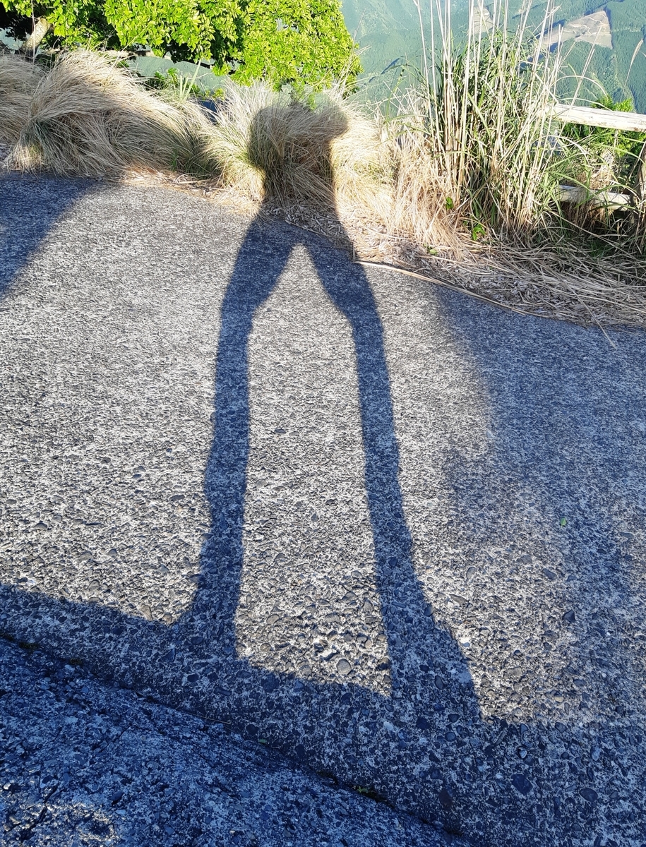 f:id:adayasu:20210502180131j:plain