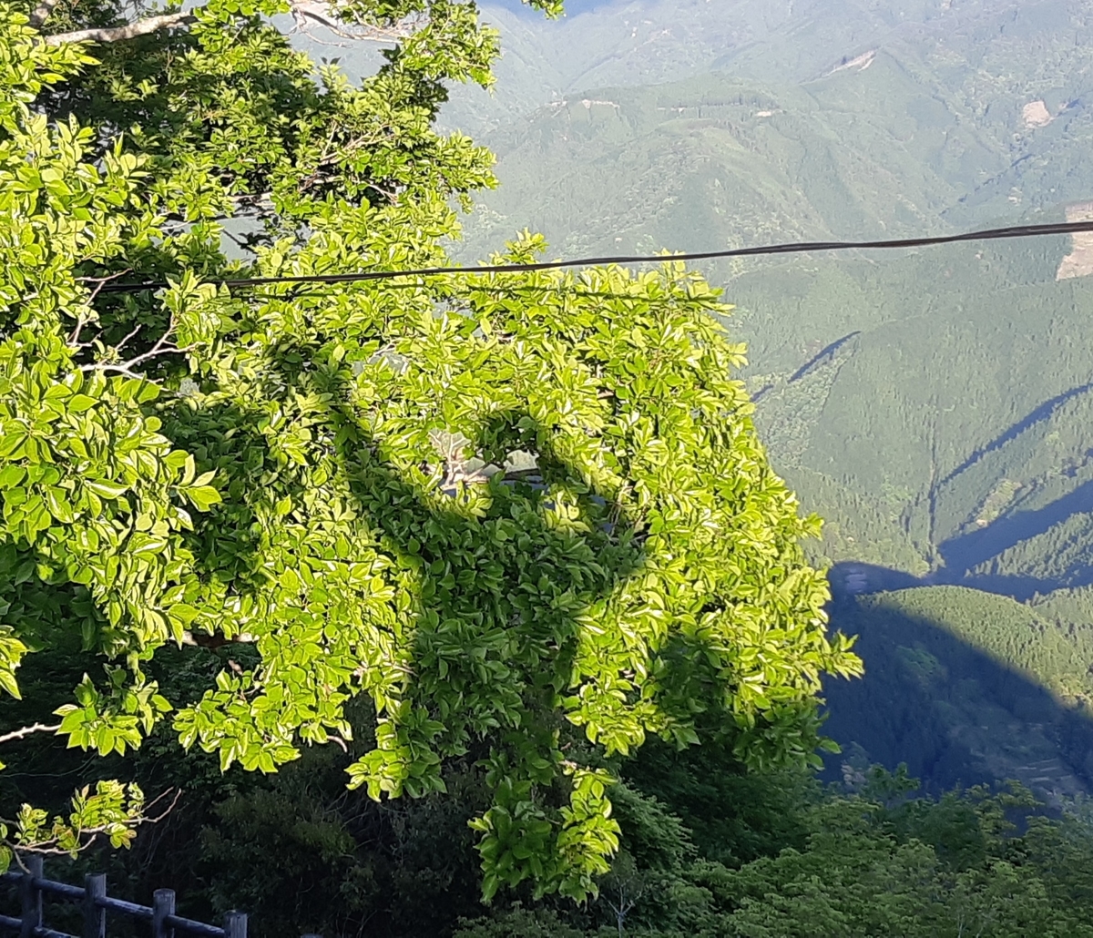 f:id:adayasu:20210502180202j:plain