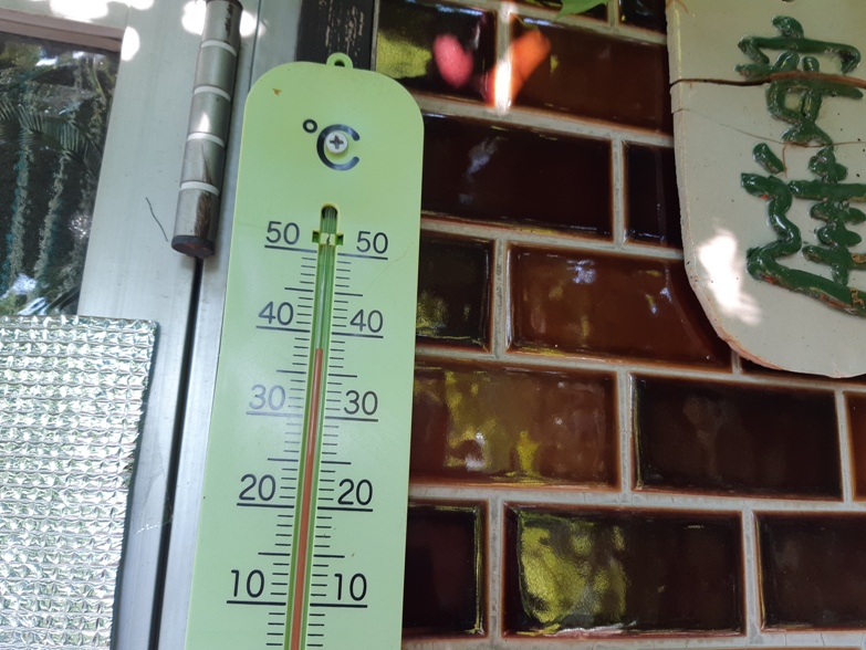 f:id:adayasu:20210729165924j:plain