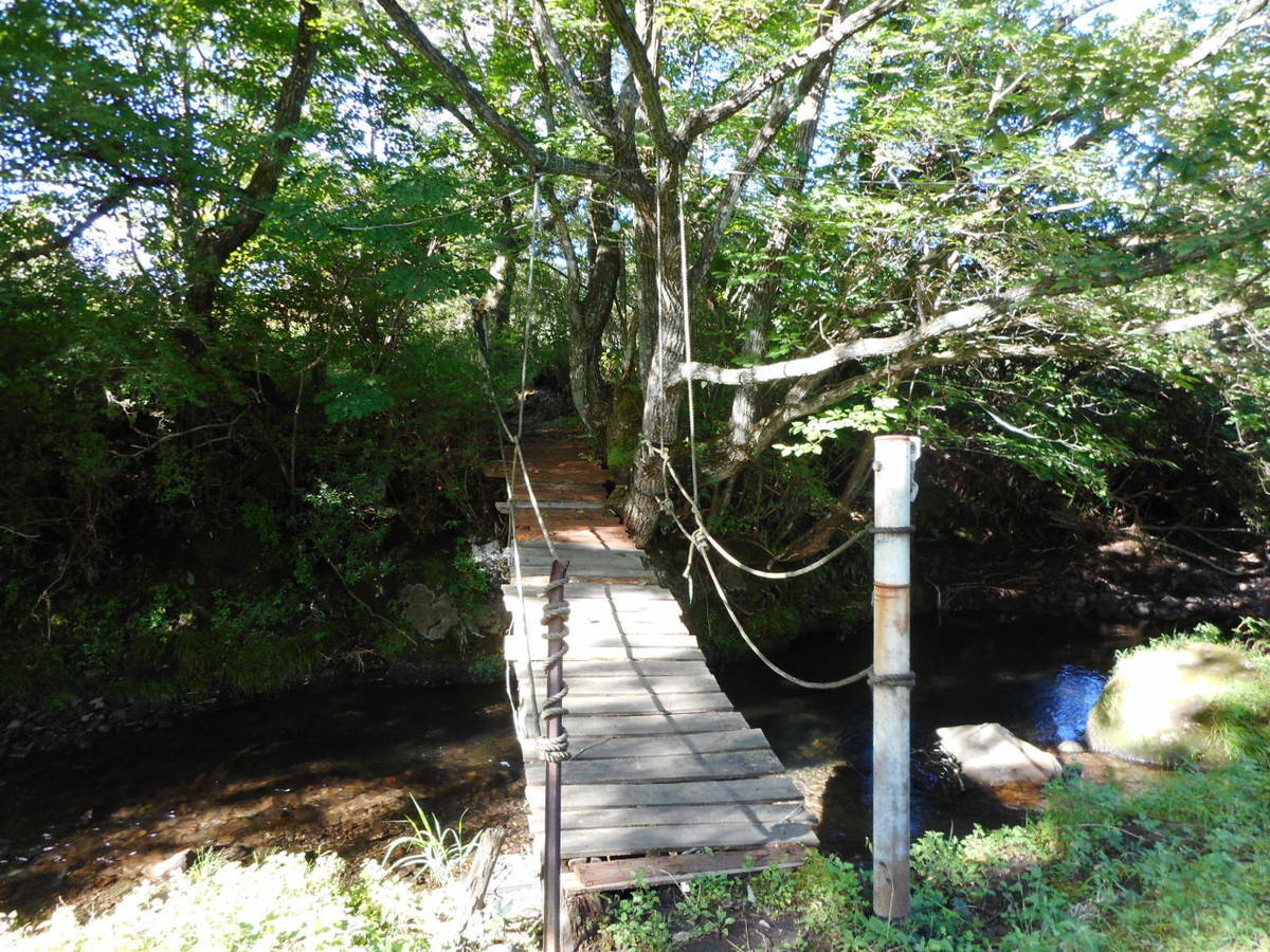 f:id:adbird:20190916102626j:plain f:id:adbird:20190916102626j:plain