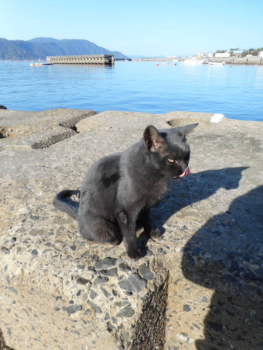 f:id:adbird:20191204232444j:plain f:id:adbird:20191204232444j:plain