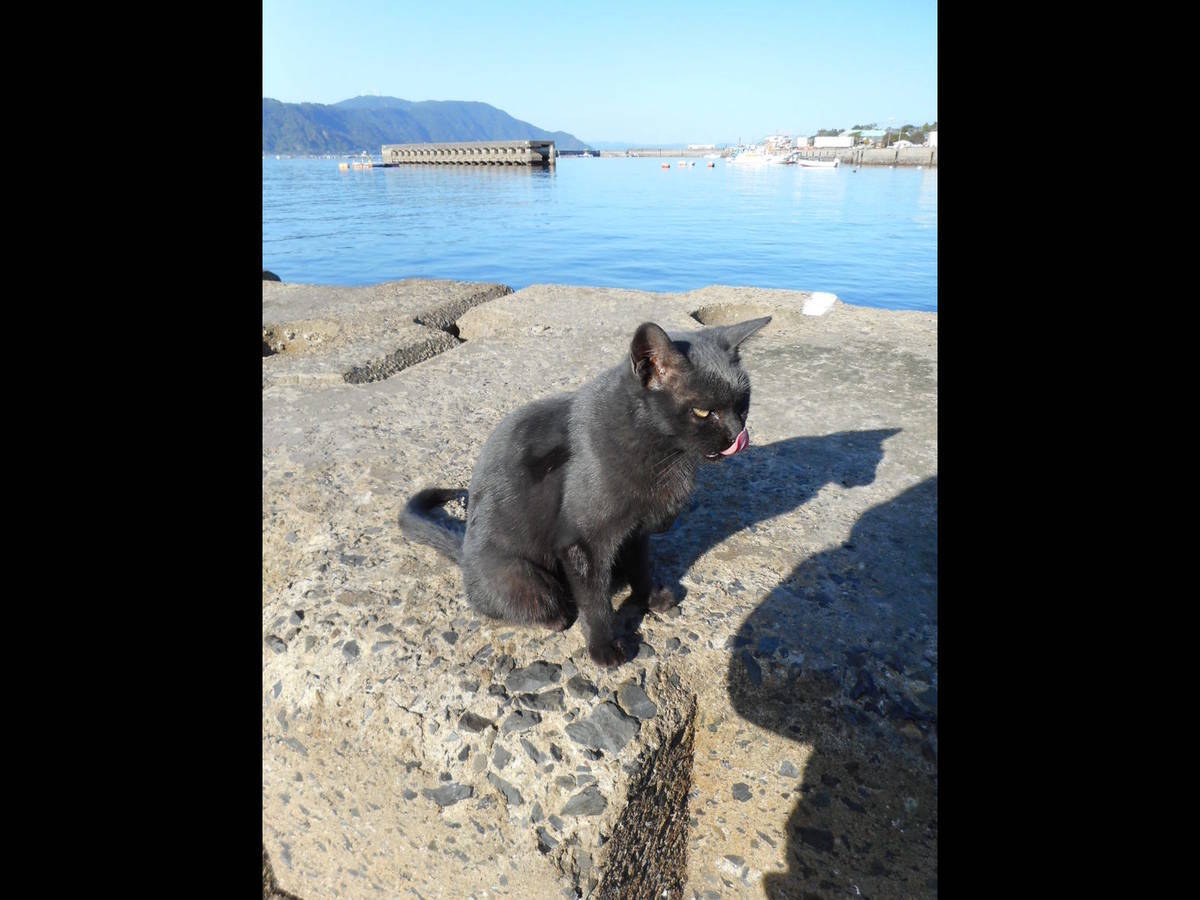 f:id:adbird:20191204232612j:plain f:id:adbird:20191204232612j:plain