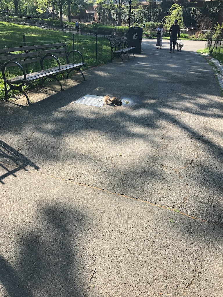 f:id:add-coco:20210912191648j:image f:id:add-coco:20210912191648j:image