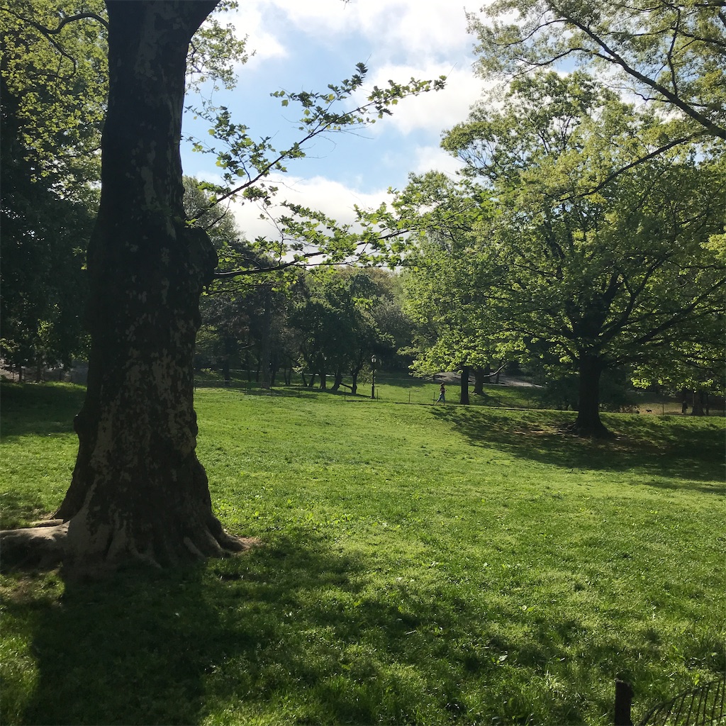 f:id:add-coco:20210912191654j:image f:id:add-coco:20210912191654j:image