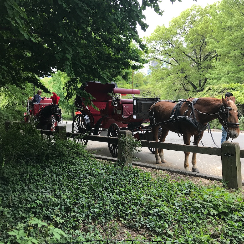 f:id:add-coco:20210912193233j:image f:id:add-coco:20210912193233j:image