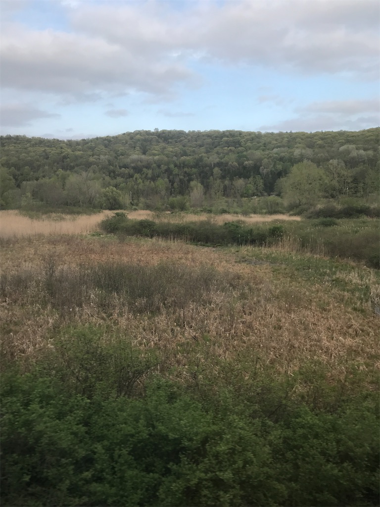 f:id:add-coco:20210912194019j:image f:id:add-coco:20210912194019j:image