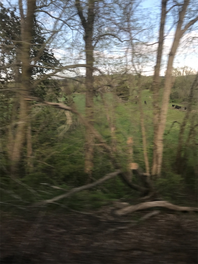 f:id:add-coco:20210912194024j:image f:id:add-coco:20210912194024j:image