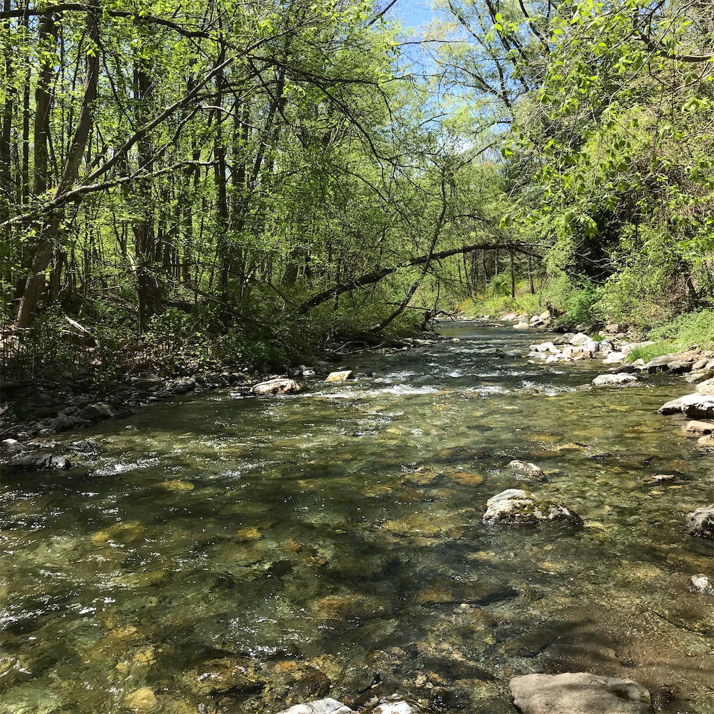 f:id:add-coco:20210915012329j:image f:id:add-coco:20210915012329j:image