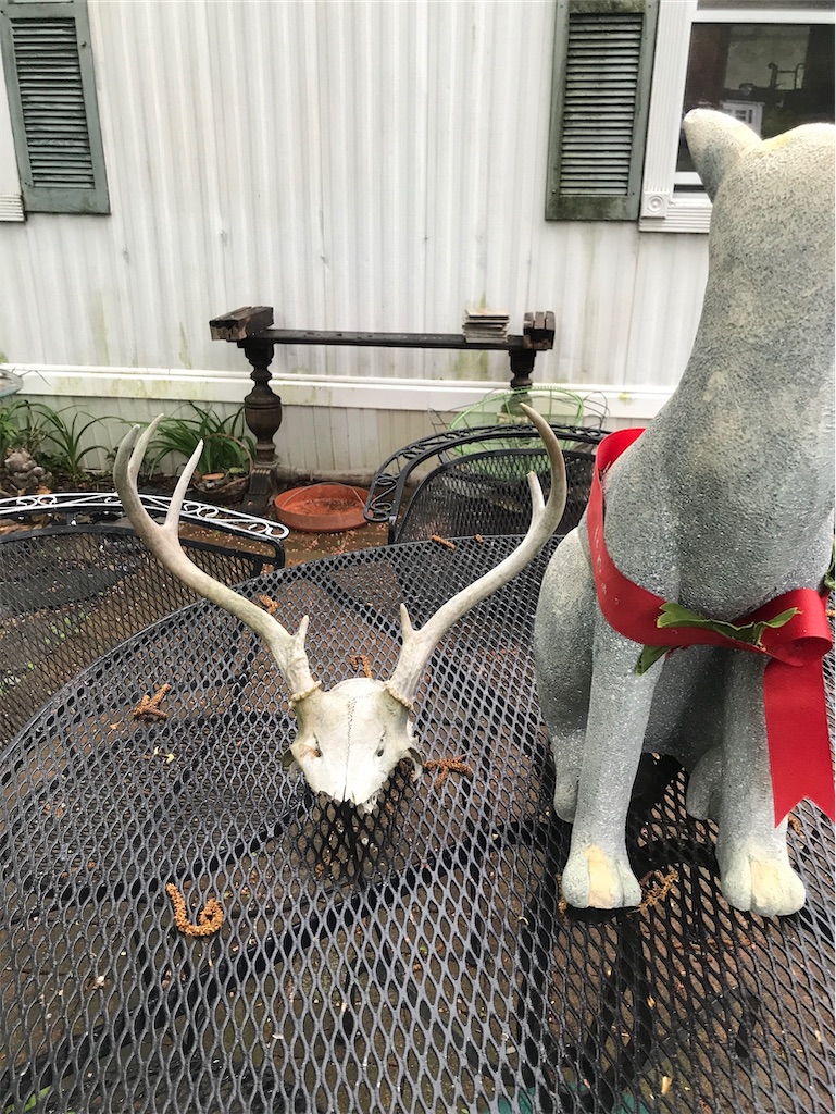 f:id:add-coco:20210919224418j:image f:id:add-coco:20210919224418j:image