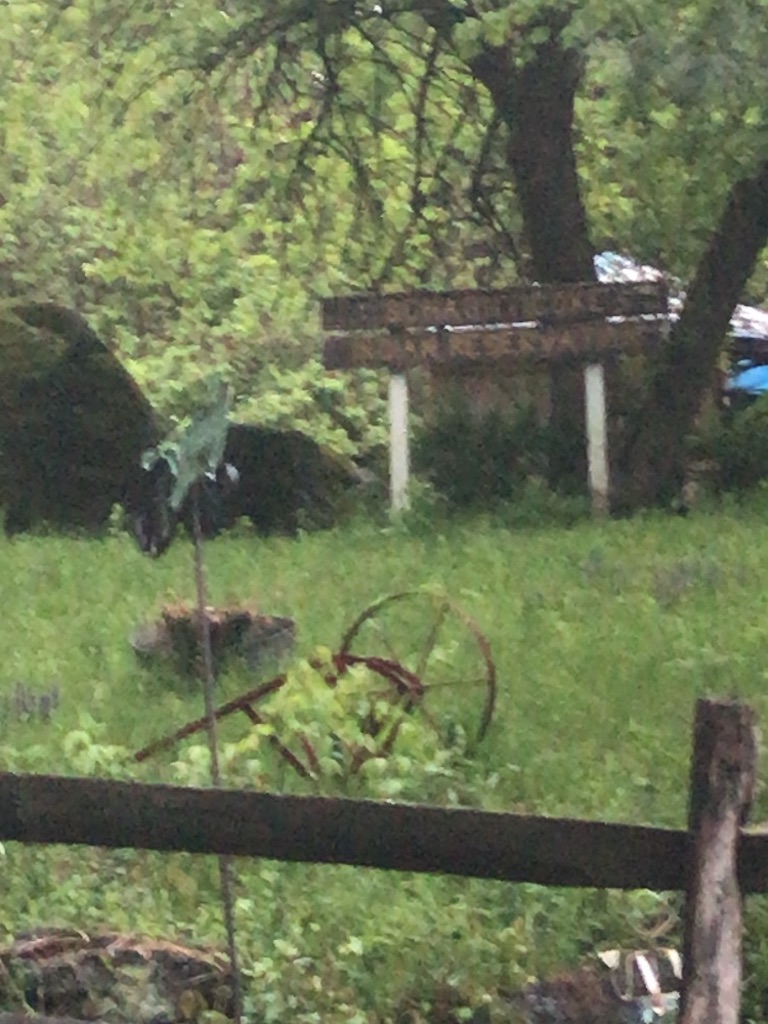 f:id:add-coco:20210919232953j:image f:id:add-coco:20210919232953j:image