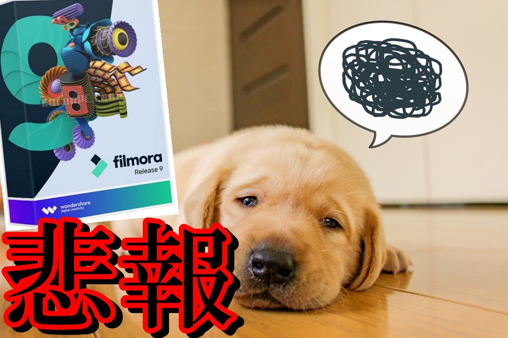 f:id:addfromwik:20190205231620j:plain f:id:addfromwik:20190205231620j:plain