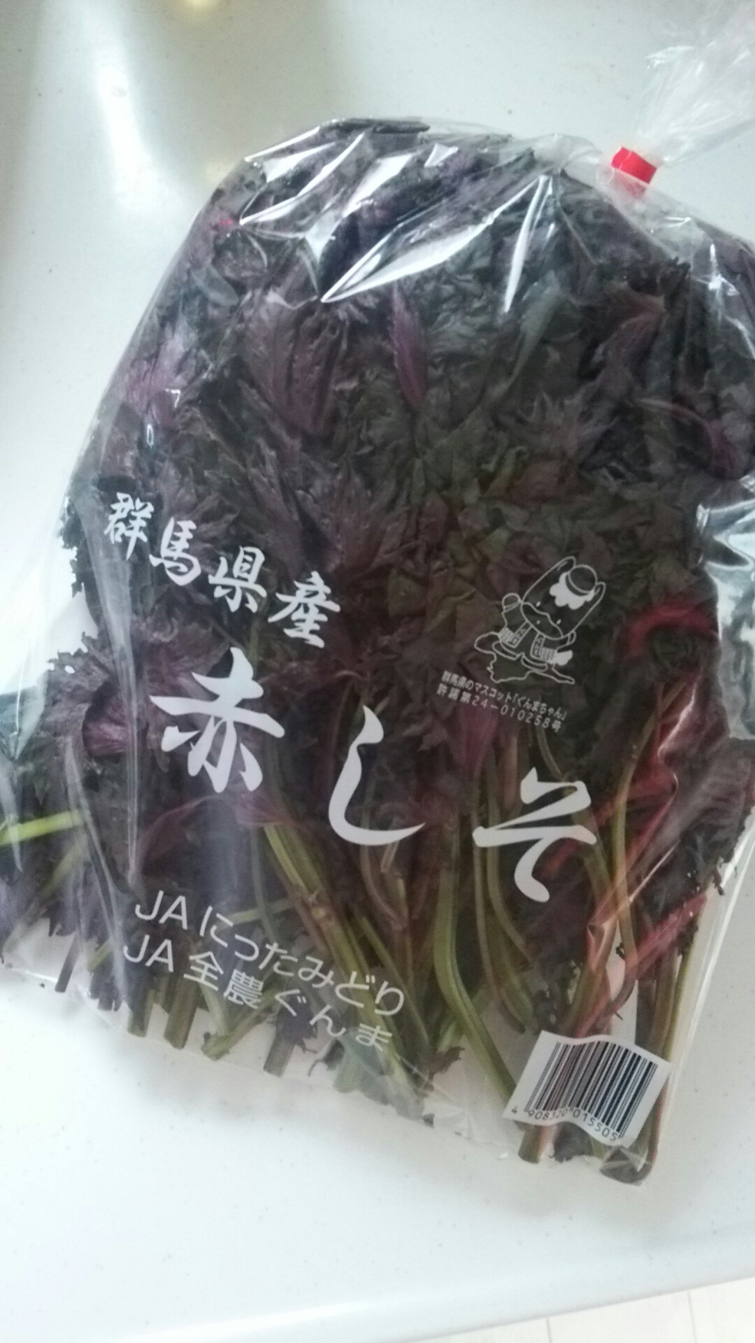 f:id:addieayumi:20160716154331j:plain f:id:addieayumi:20160716154331j:plain