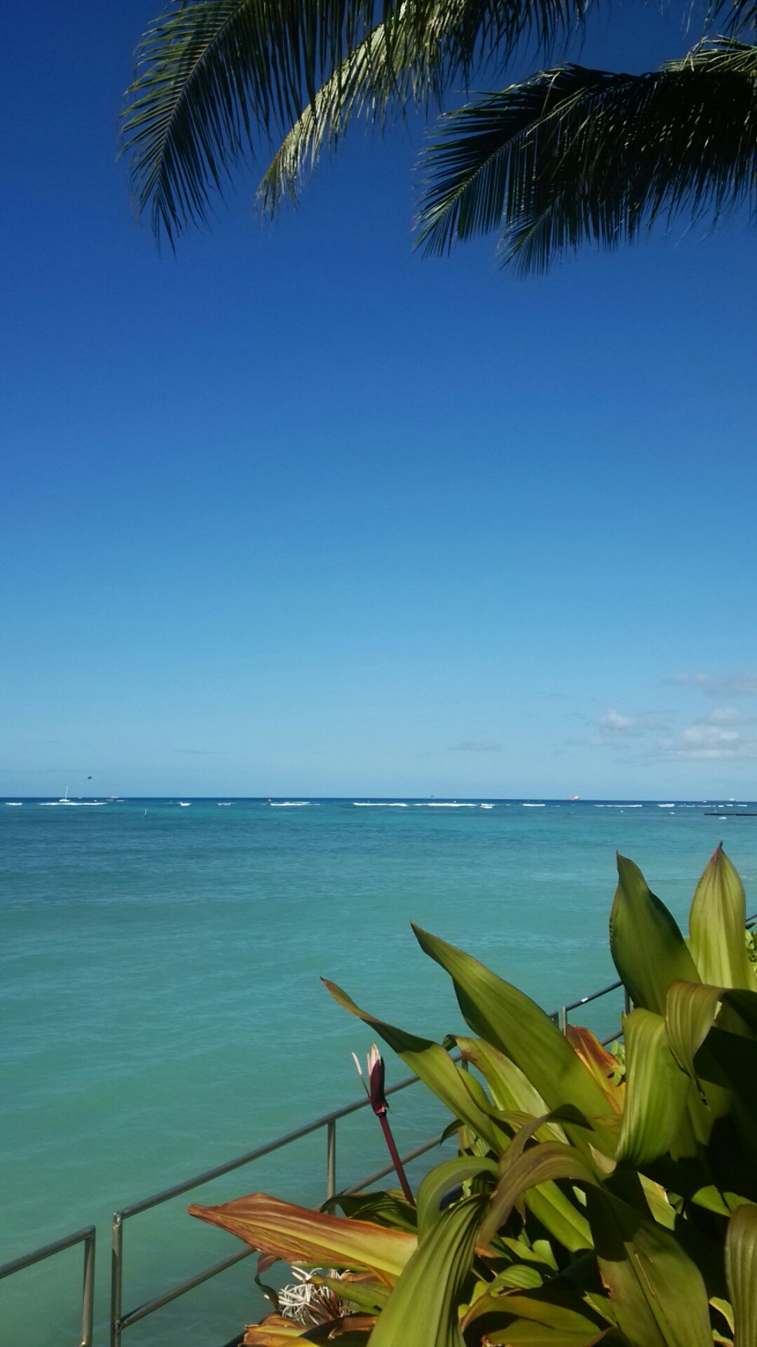 f:id:addieayumi:20160909062632j:plain f:id:addieayumi:20160909062632j:plain