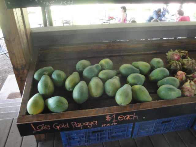 f:id:addieayumi:20160923070940j:plain f:id:addieayumi:20160923070940j:plain