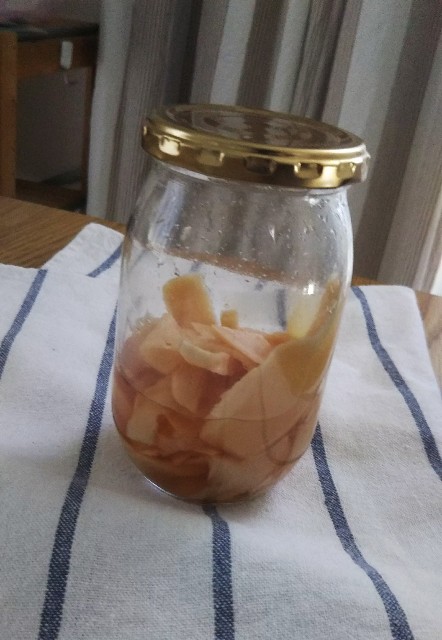 梅酢の利用にも 新生姜の梅酢漬け わたしづくり くらしづくり ふたりづくり