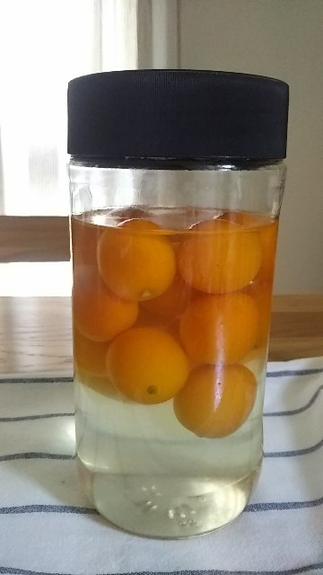 f:id:addieayumi:20190107152441j:plain f:id:addieayumi:20190107152441j:plain