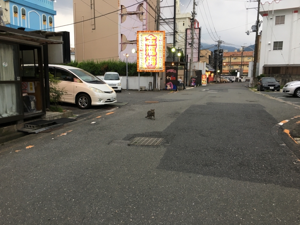 f:id:addis:20170907002732j:plain