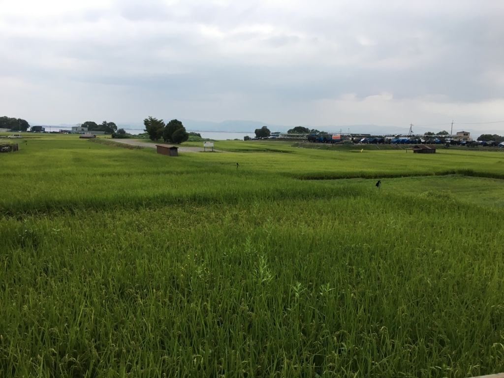 f:id:addis:20170907004144j:plain