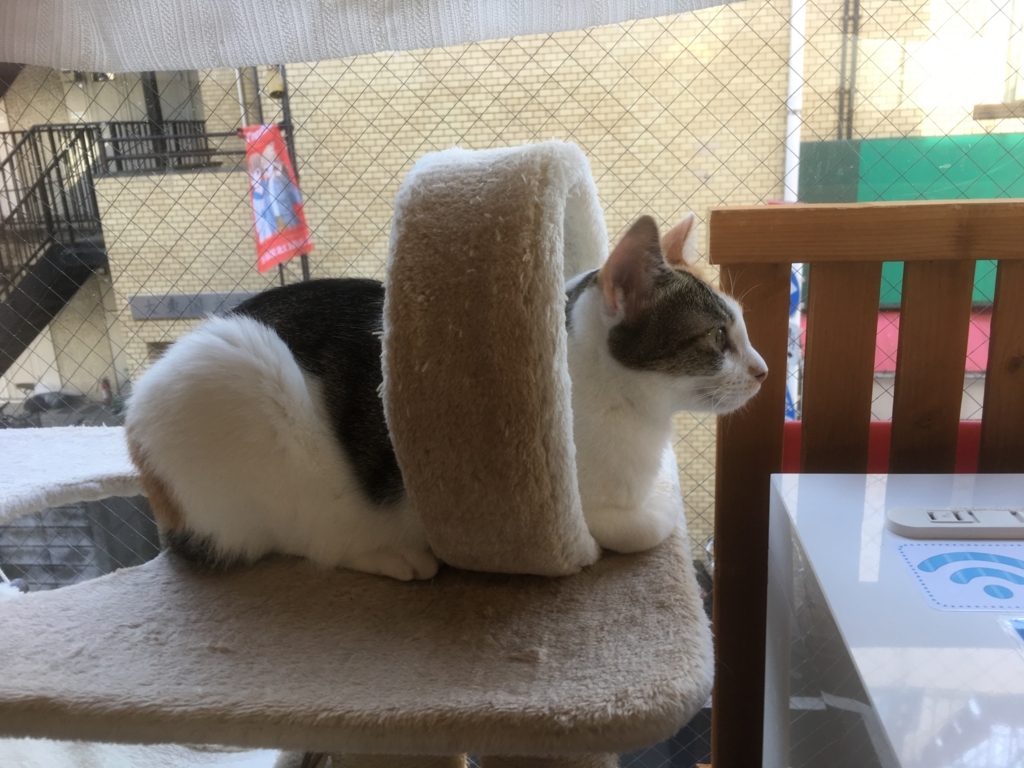 f:id:addis:20180310230811j:plain f:id:addis:20180310230811j:plain