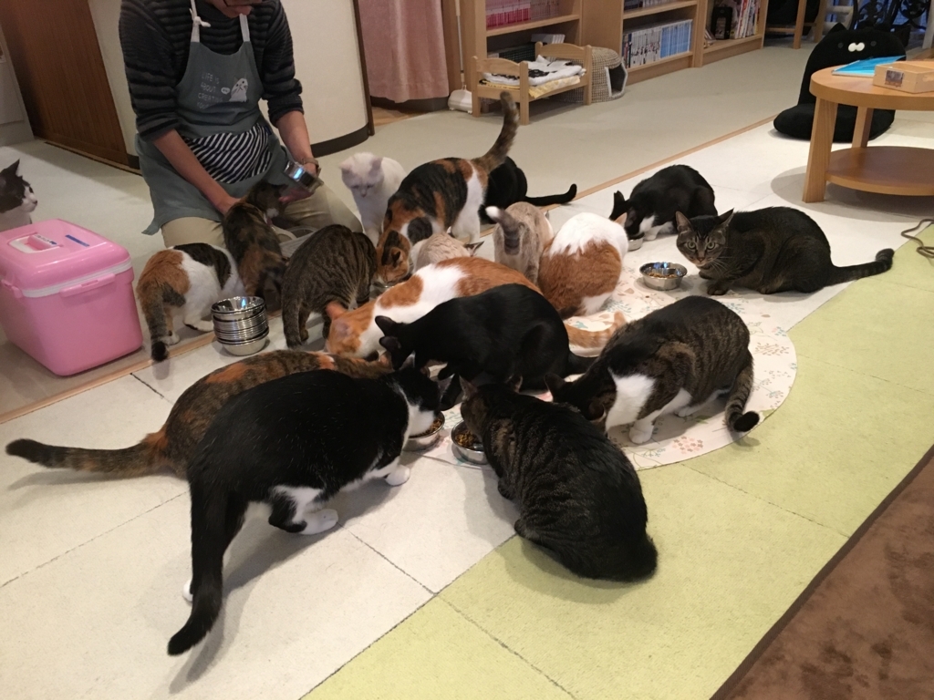f:id:addis:20180310231025j:plain f:id:addis:20180310231025j:plain