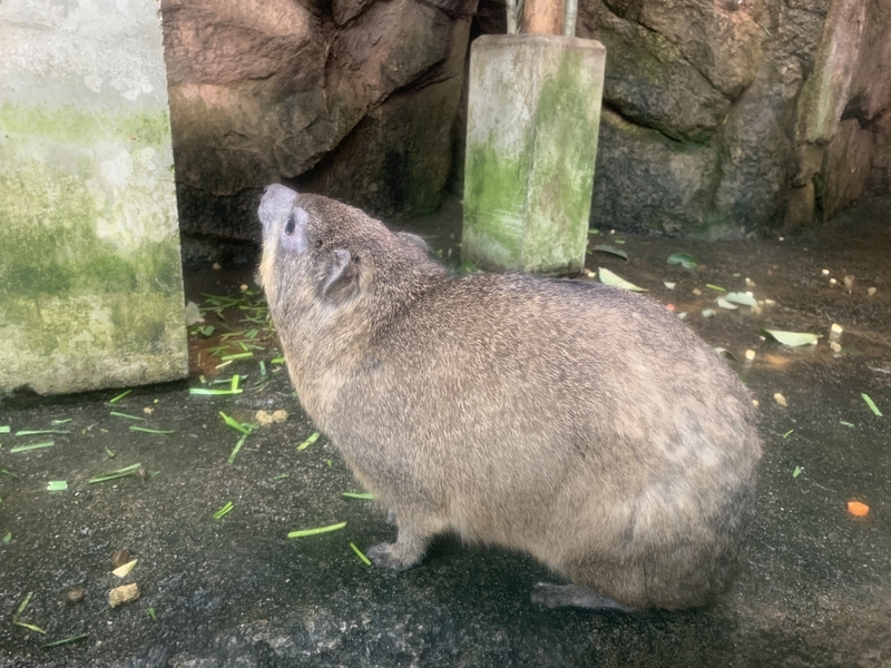 f:id:addis:20191219160244j:plain