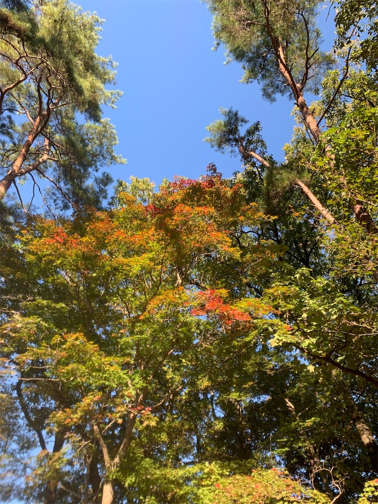 f:id:addman:20191104215156j:image f:id:addman:20191104215156j:image