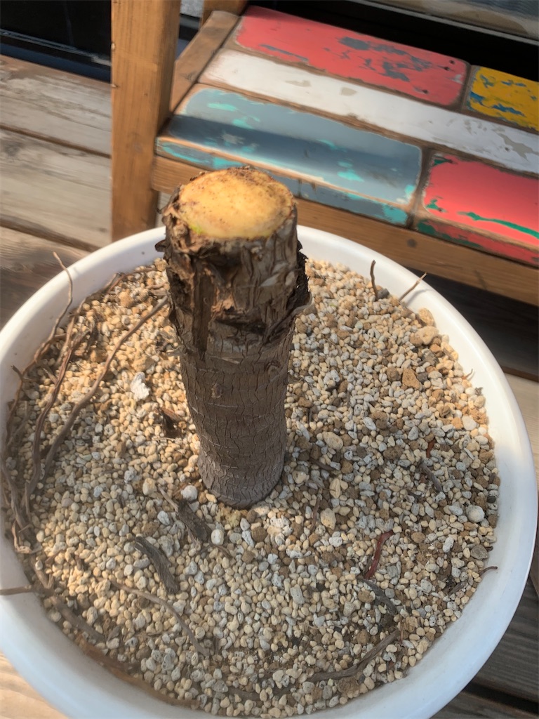 f:id:addman:20210411210845j:image