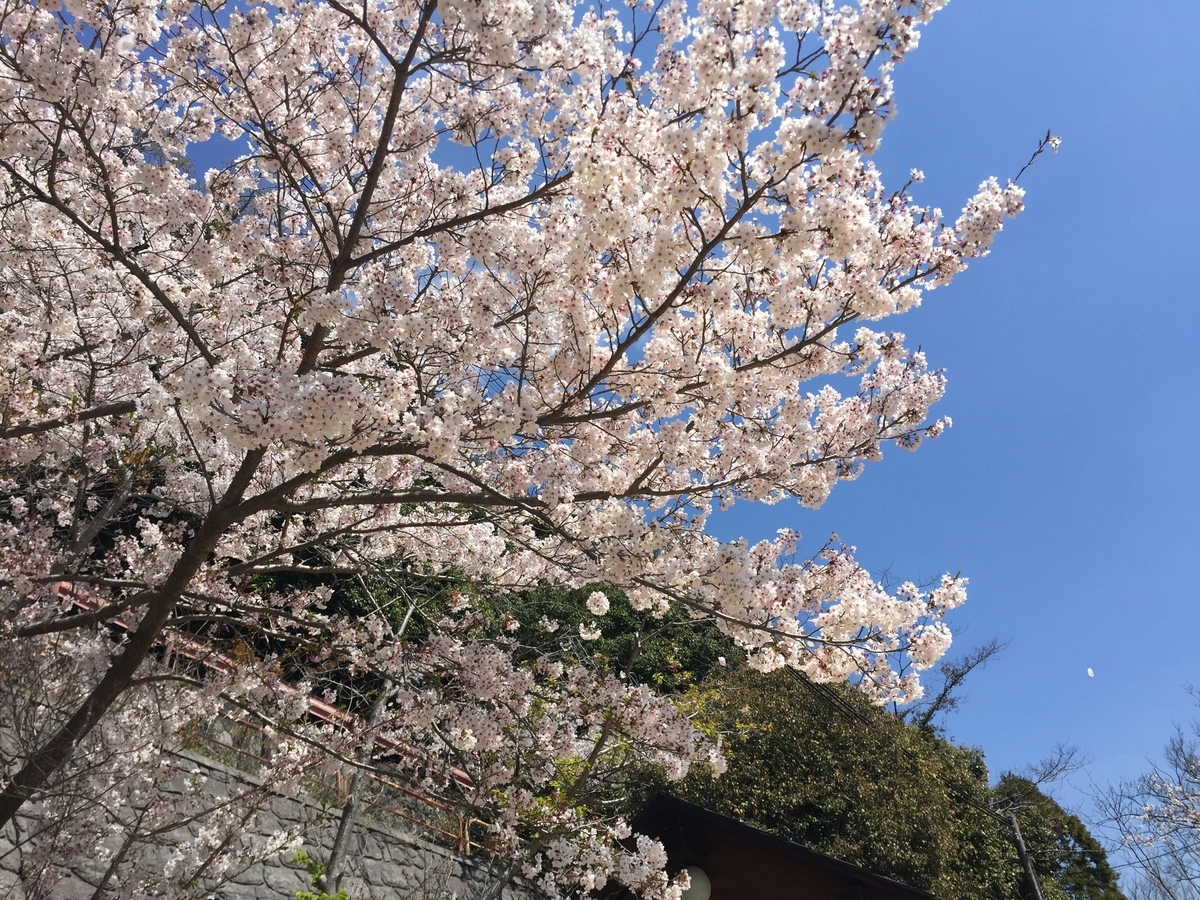f:id:adera:20190413210744j:plain