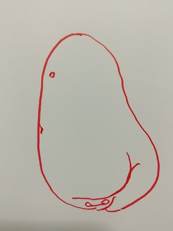 f:id:adgjm555:20190306094354j:plain f:id:adgjm555:20190306094354j:plain